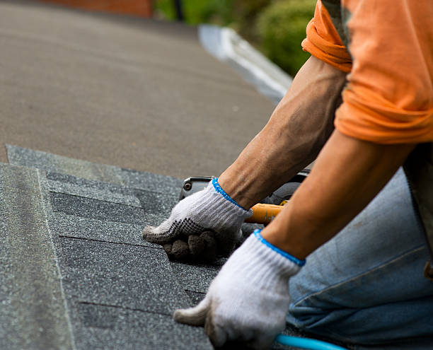 Best Gutter Installation and Roofing  in Trenton, OH