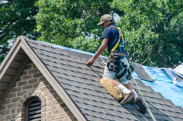 Best Flat Roof Repair Services  in Trenton, OH
